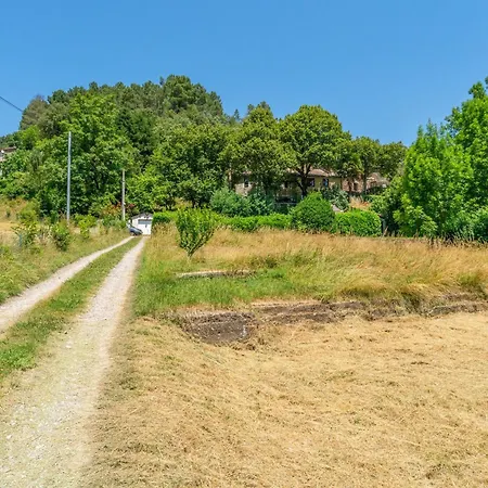 Edelweiss - Mas De La Brousse Saumane